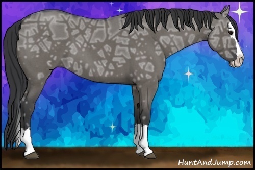 Horse Color: Grullo Ice Roan Splash 