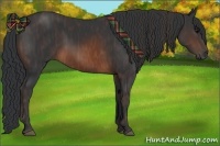 Horse Color:Brown Rabicano Brindle