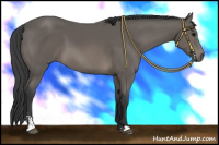 Horse Color:Black Sabino 