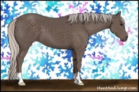 Horse Color:Silver Black 