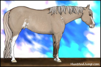 Horse Color:Silver Grullo Sabino Rabicano 