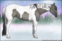 Horse Color:Grullo Tobiano 