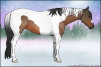 Horse Color:Bay Tobiano 