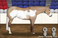 Horse Color:Silver Bay Dun Frame Rabicano