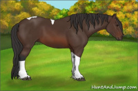 Horse Color:Brown Tobiano