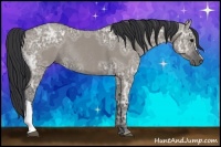 Horse Color:Grullo Ice Rabicano 