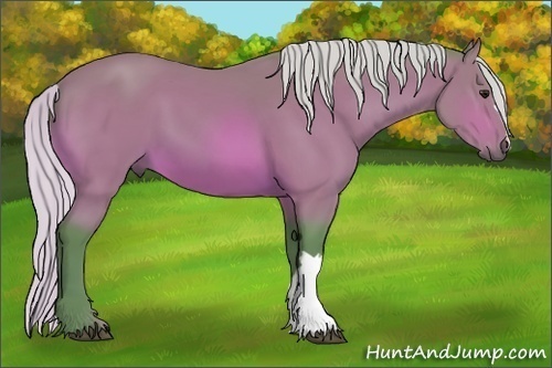 Horse Color: Watercolor Silver Bay 