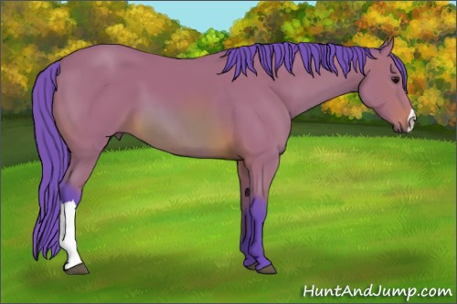 Horse Color: Watercolor Bay 