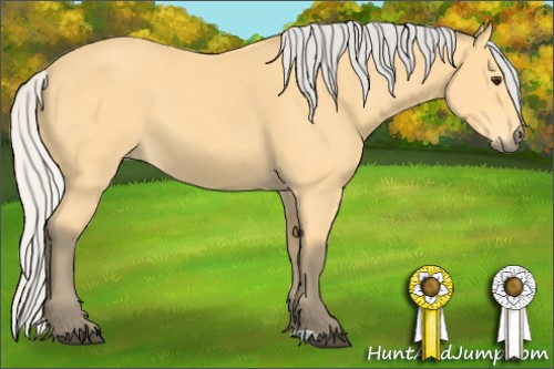 Horse Color: Silver Buckskin 