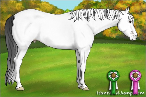 Horse Color: White Spotted Grullo 