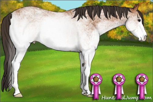 Horse Color: White Spotted Bay 