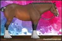 Horse Color:Bay Sabino 