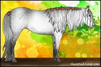 Horse Color:Gray Smoky Black 