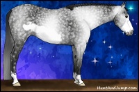 Horse Color:Gray Smoky Black Ice Frame