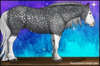 Horse Color:Silver Black Chinchilla Splash