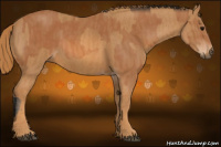 Horse Color:Bay  Brindle
