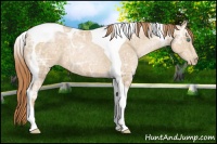 Horse Color:Smoky Black Ice Pearl Tobiano 