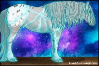 Horse Color:Thunderstruck Grullo Appaloosa 