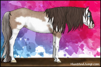 Horse Color:Classic Champagne Splash Frame Rabicano 
