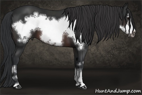 Horse Color: Brown Frame 