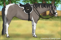 Horse Color:Grullo Splash Tobiano 