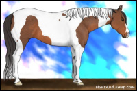 Horse Color:Bay Tobiano 