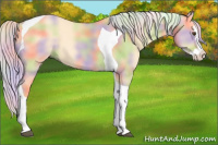 Horse Color:Nacre Palomino Dun Splash Tobiano 