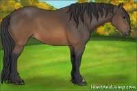Horse Color:Brown 