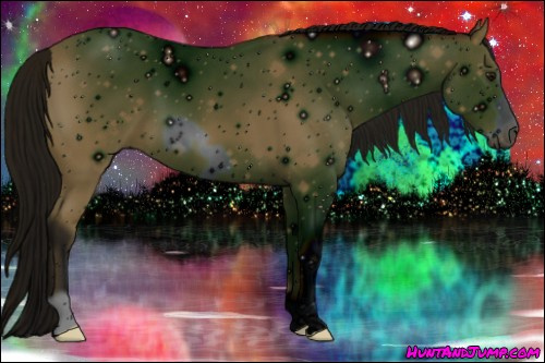 Horse Color: ERROR: UNKNOWN ANOMALY