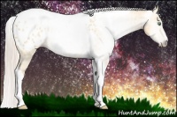 Horse Color:Gray Silver Amber Cream Champagne Roan Dun Splash Tobiano Frame Appaloosa Rabicano 