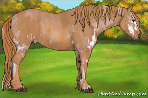 Horse Color: Chestnut Splash  Brindle
