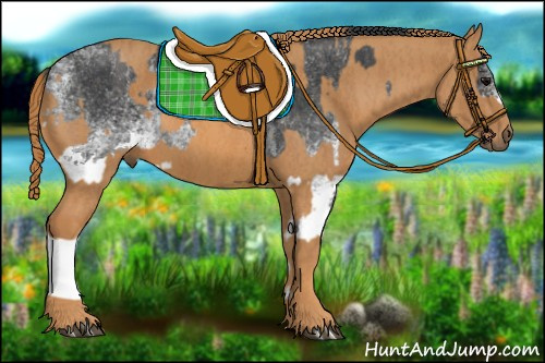 Horse Color: White Spotted Blue Roan Rabicano  Brindle