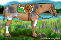 Horse Color:White Spotted Blue Roan Rabicano  Brindle