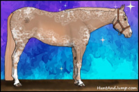 Horse Color:Chestnut Ice Sabino