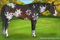 Horse Color:Brown Ice Splash