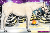 Horse Color:Silver Amber Cream Champagne Ice Dun 