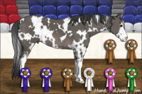 Horse Color:White Spotted Black Sabino