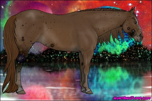 Horse Color: ERROR: UNKNOWN ANOMALY