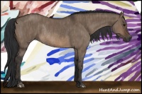Horse Color:Brown Dun Rabicano  Brindle
