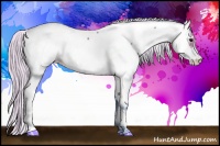 Horse Color:Watercolor Silver Brown Near Fewspot 