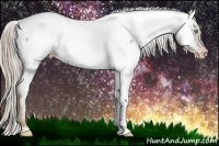 Horse Color:Chocolate Palomino Roan Pearl Near Fewspot 
