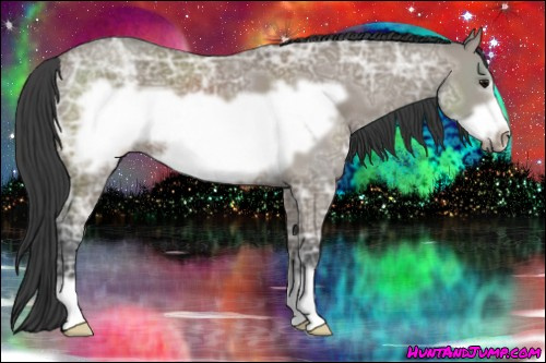 Horse Color: Grullo Ice Frame 