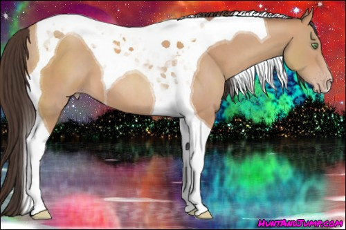Horse Color: Amber Champagne Tobiano 