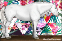 Horse Color:Gray Silver Amber Cream Champagne Roan Dun Splash Tobiano Frame Appaloosa Rabicano 