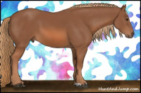 Horse Color:Liver Chestnut 