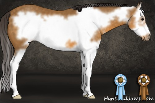 Horse Color: Buckskin Sabino Splash Frame 