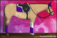 Horse Color:Buckskin Dun Rabicano 