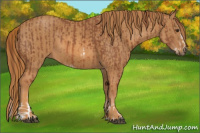 Horse Color:Chestnut Splash Frame Brindle