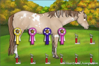 Horse Color:White Spotted Grullo Pearl Sabino 
