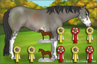 Horse Color:Grullo Sabino 